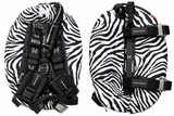 Eclipse Pro BC Systems (Custom Ready)